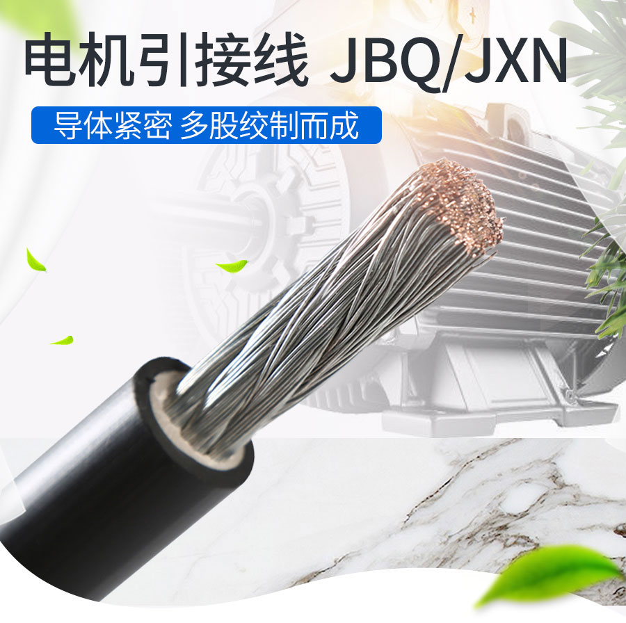 電機(jī)引出線(2)_01.jpg